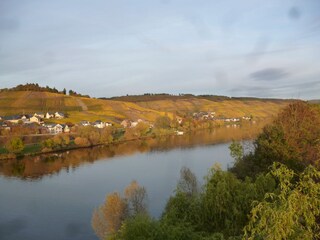 Vakantieappartement Lieser Omgeving 21