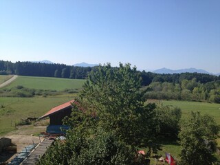 Ausblick