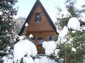 Nurdachferienhaus / Finnhütte "Martina" - Lautenthal - image1