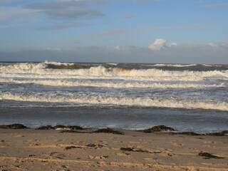 Appartamento per vacanze Callantsoog Ambiente 24