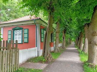 Holiday house Neuenkirchen/Niederelbe Environment 34