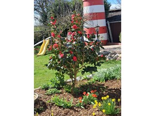 Casa per le vacanze Neuenkirchen/Niederelbe Registrazione all'aperto 9