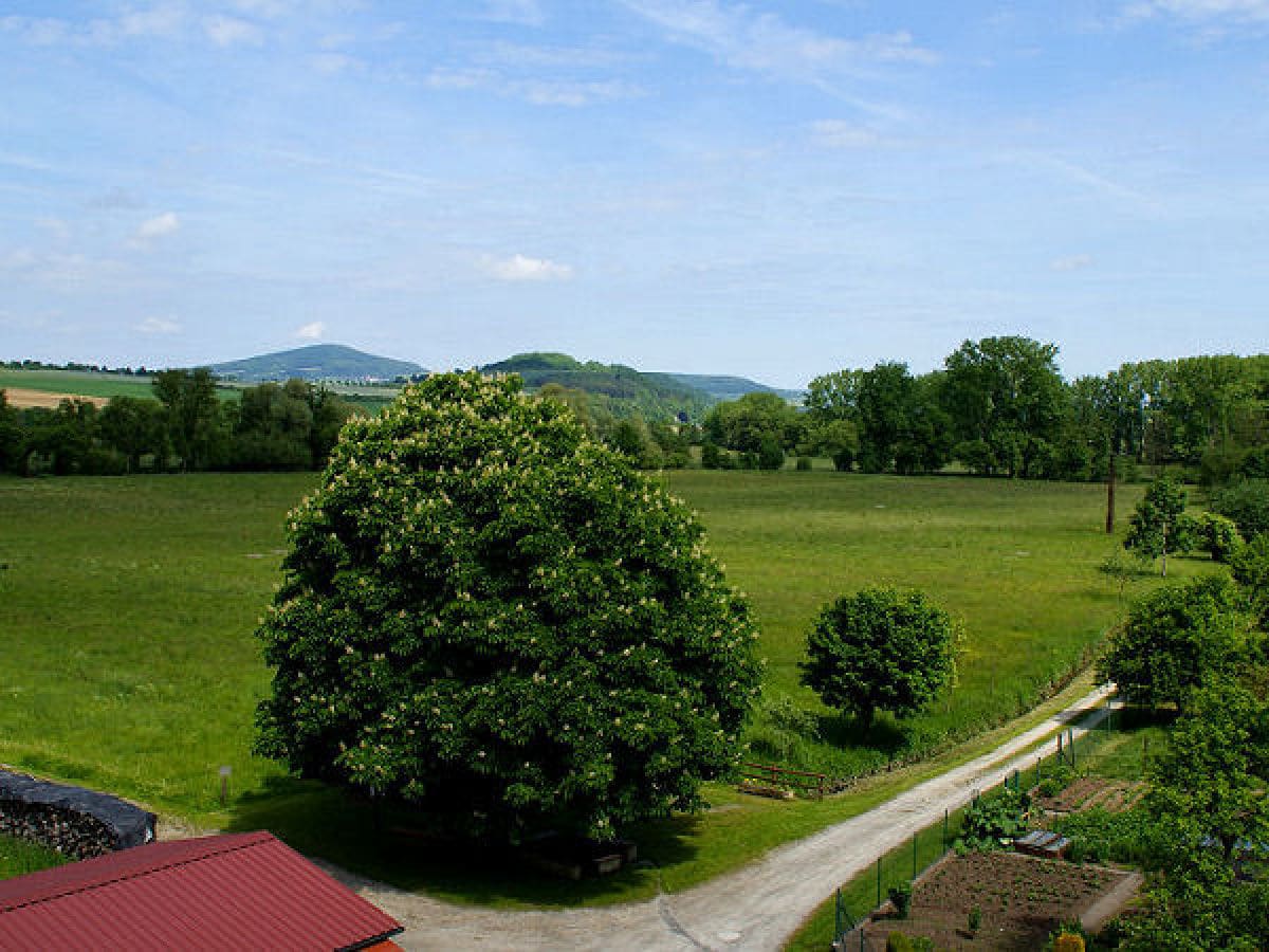 Blick aus der Ferienwohnung