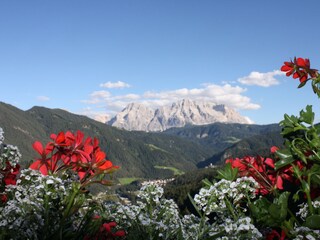 Fattoria St. Martin in Thurn Ambiente 13