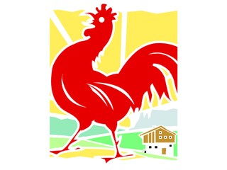 Appartamento per vacanze St. Martin in Thurn Documento 21