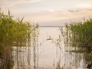 Achterwasser Badestelle