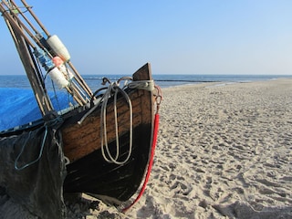 Strand Kölpinsee