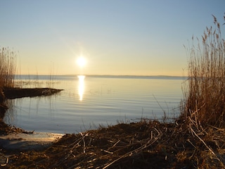 Achterwasser Alte Scheune Loddin