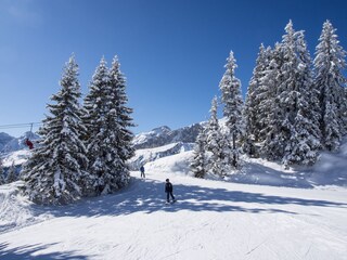 Skigebiet Garmisch Classic