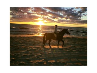 Reiten im Ostseebad Loddin