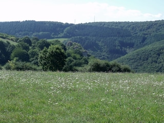 Hunsrücklandschaft bei Kirn