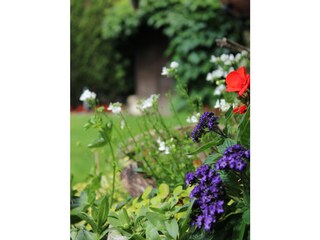 Appartamento per vacanze Riffian Registrazione all'aperto 8