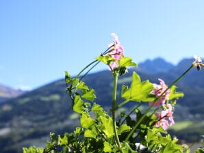 Appartamento per vacanze Innerhofer con balcone sud - Rifiano - image1