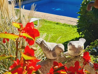 Appartamento per vacanze Riffian Registrazione all'aperto 10