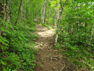 Appartamento per vacanze Riffian Ambiente 32