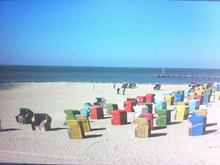 Appartamento per vacanze Utersum Ambiente 18