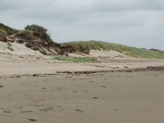 Appartamento per vacanze Utersum Ambiente 22