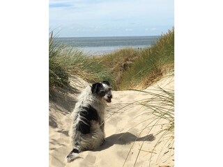 Appartamento per vacanze Utersum Ambiente 20