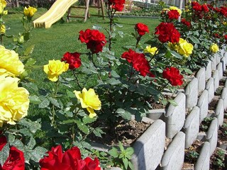 Appartamento per vacanze Tramin Registrazione all'aperto 10