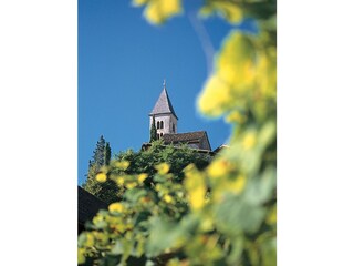 Appartamento per vacanze Tramin Ambiente 25