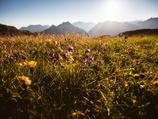 Appartamento per vacanze Schröcken Ambiente 35