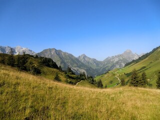 Bergpanorama Nesslegg