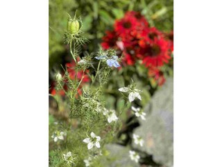 Appartamento per vacanze Leogang Registrazione all'aperto 9