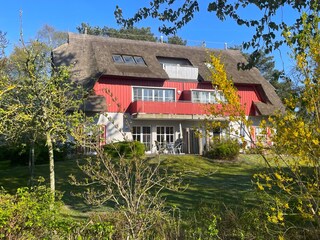 Anblick im Frühling