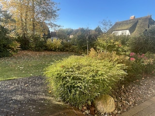 Blick von der Terrasse