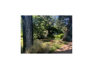 Vakantiehuis Lège-Cap-Ferret Buitenaudio-opname 6