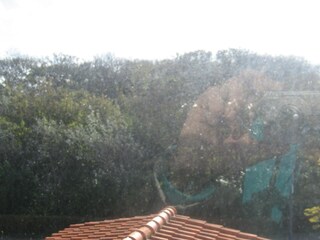 Casa per le vacanze Domburg Caratteristiche 19