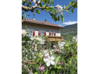 Holiday apartment Meran Environment 10