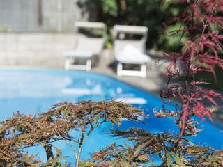 Appartamento per vacanze Meran Registrazione all'aperto 8