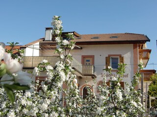 Appartamento per vacanze Meran Ambiente 36