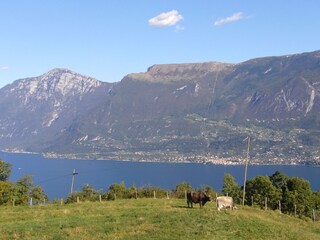 Casa de vacaciones Tremosine sul Garda Grabación al aire libre 1
