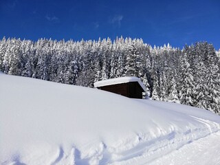 Appartement Ramsau im Zillertal Équipement 36