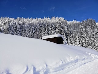 Winterlandschaft