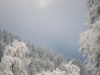 Appartamento Ramsau im Zillertal Registrazione all'aperto 27