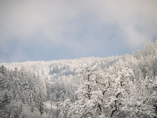 Appartamento Ramsau im Zillertal Registrazione all'aperto 28