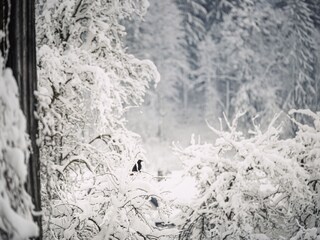 Appartamento Ramsau im Zillertal Registrazione all'aperto 29