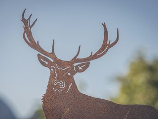 Appartamento Ramsau im Zillertal Registrazione all'aperto 15