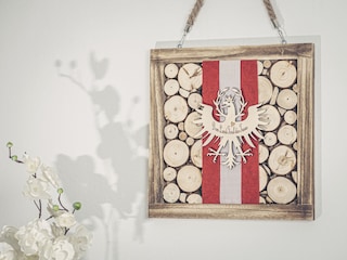 Appartamento Ramsau im Zillertal Registrazione all'aperto 11