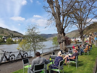 Weinlounge Hallenbach in Zell an der Mosel