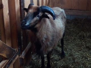 Biohof Wegscheid Umgebung 30