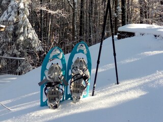 Biohof Wegscheid Umgebung 33