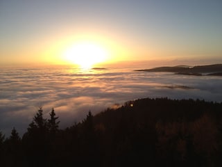 Biohof Wegscheid Umgebung 23