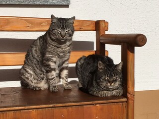 Biohof Wegscheid Umgebung 26