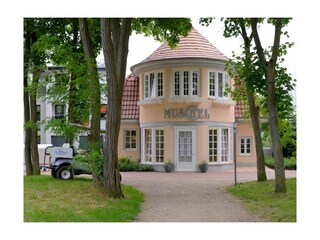 Muschel - Blick aufs Haus