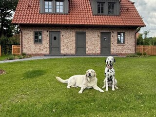 Hier urlauben auch Vierbeiner gern