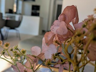 Ferienhaus Winsen (Aller) Ausstattung 10